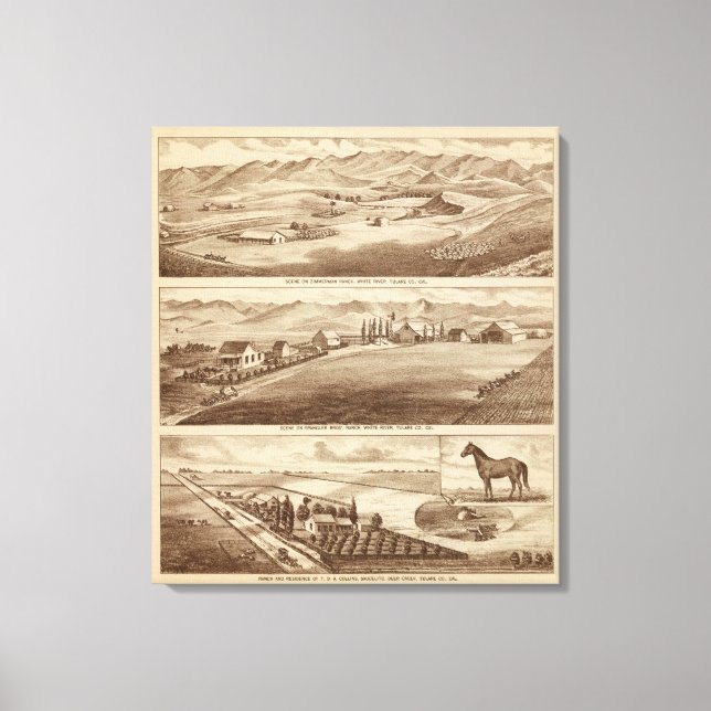 Lienzo Agua blanca, ranchos de Saucelito (Anverso)