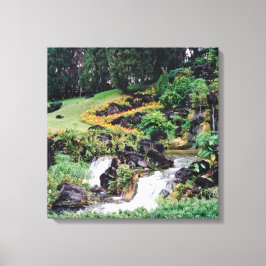 Lienzo Agua de curación