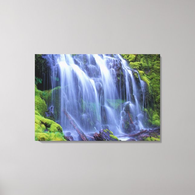 Lienzo Agua dulce de primavera fluyendo por el musgo (Anverso)