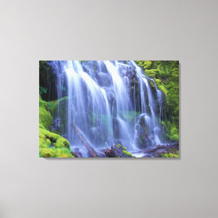 Lienzo Agua dulce primaveral fluyendo sobre musgo