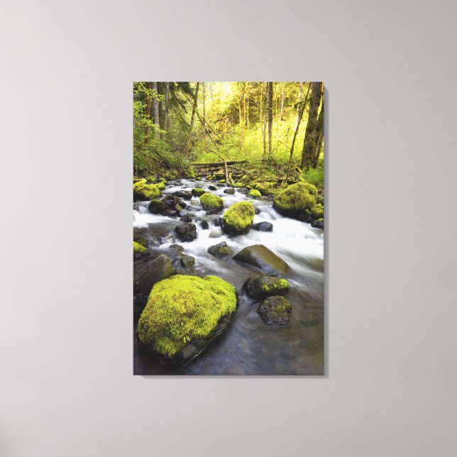 Lienzo Agua Fluida Por Rocas Cubiertas Por Moss En Una Co (Anverso)