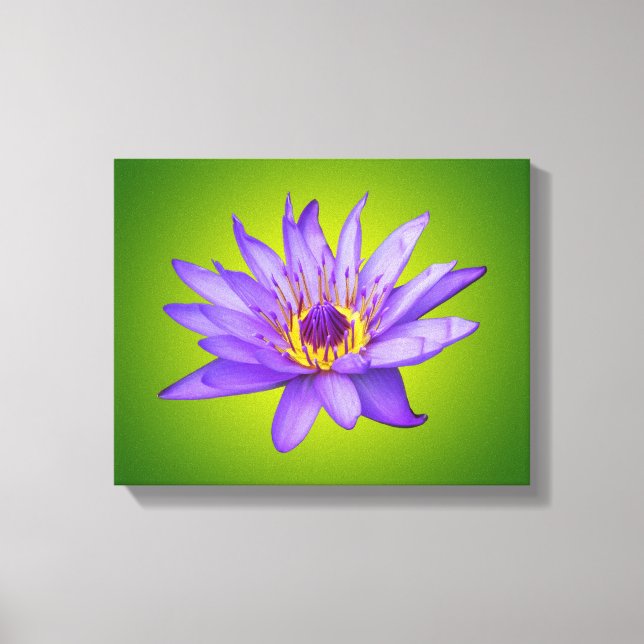 Lienzo Agua Lily Flor Estanque Agua Acuática Púrpura Bloo (Anverso)