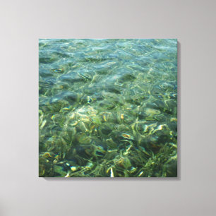 Lienzo Agua sobre hierba marina I Naturaleza caribeña