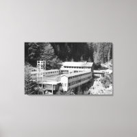 Aguas termales olímpicas, WA Lodge View Photograph