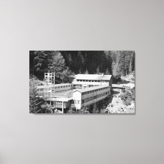 Lienzo Aguas termales olímpicas, WA Lodge View Photograph