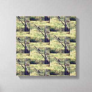 Lienzo Águila africana