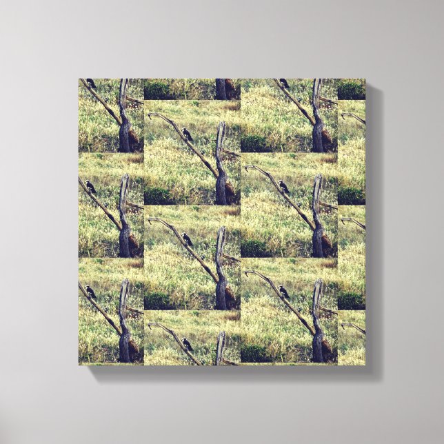 Lienzo Águila africana (Anverso)