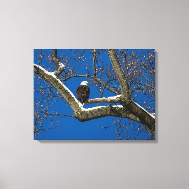 Lienzo Águila en un árbol nevado (Anverso)