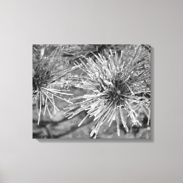 Lienzo Agujas de pino cubiertas de escarcha (Anverso)