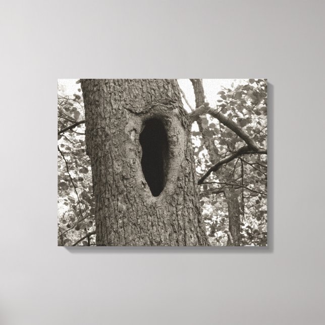 Lienzo Agujero misterioso (Sepia) (Anverso)