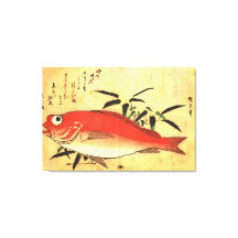 Akodai - Colorida imagen japonesa de pescado de Hi