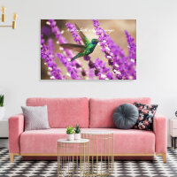 Alas de Faith Sparkling Violet ears Hummingbird