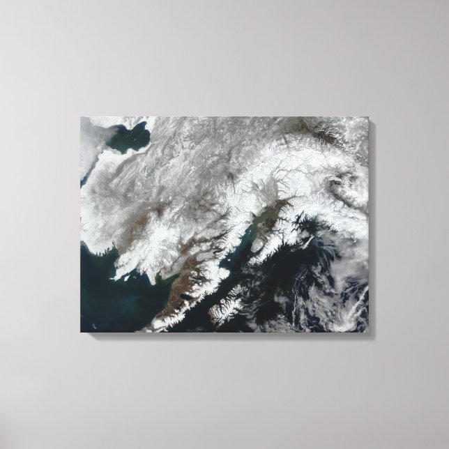 Lienzo Alaska (Anverso)