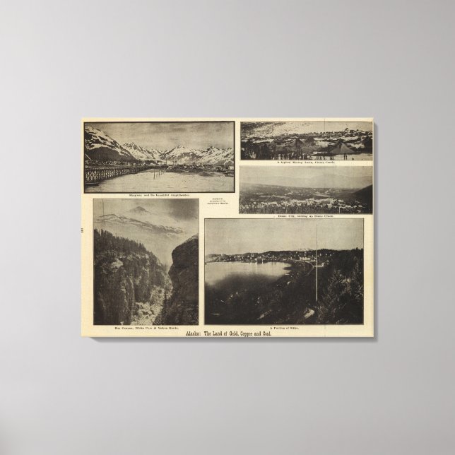 Lienzo Alaska 6 (Anverso)