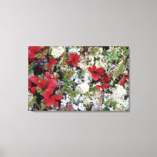 Lienzo Alaska, Parque Nacional Denali, tundra Ártico