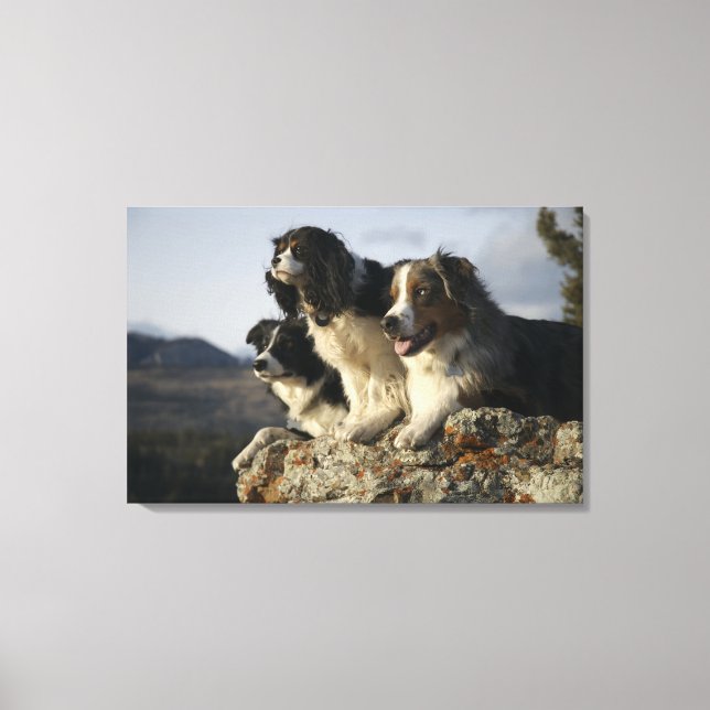 Lienzo Alberta (Canadá) 2 (Anverso)