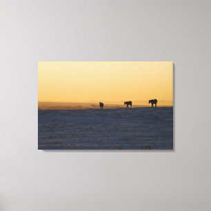 Lienzo Alberta, Canadá 3