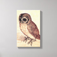 Albrecht Durer The Little Owl