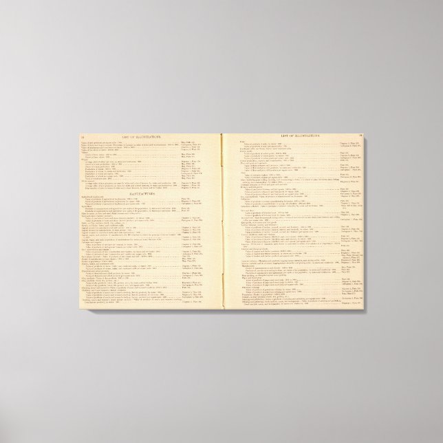 Lienzo Álbumes estadísticos 1900 9 (Anverso)