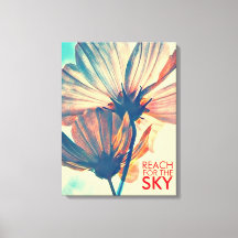 Alcance de la flor Sky Cosmos