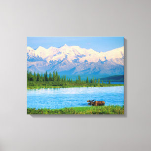 Lienzo Alce macho en Wonder Lake