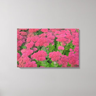 Lienzo Alegría de sedum de otoño