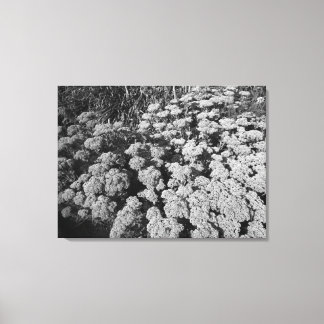 Lienzo Alegría del otoño (B&W)