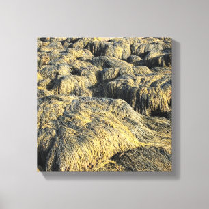 Lienzo algas marinas