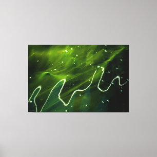 Lienzo Algas verdes y agua 60x40 (150x100cm) waccnm