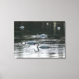 Lienzo Alimentación de cisnes, Lago Roath Park, Cardiff