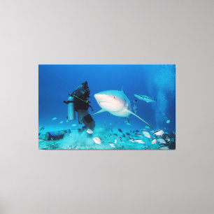 Lienzo Alimentación de la Bull