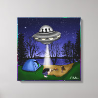 Alivio de secuestro extraterrestre de OVNI