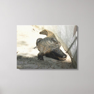 Lienzo Alligator, Fort Lauderdale, Florida