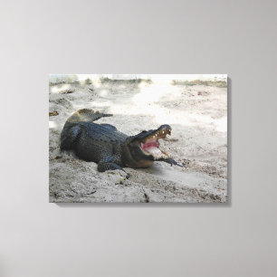 Lienzo Alligator, Fort Lauderdale, Florida