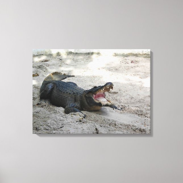 Lienzo Alligator, Fort Lauderdale, Florida (Anverso)