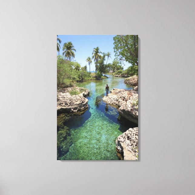 Lienzo Alligator Hole, Black River Town, Jamaica (Anverso)