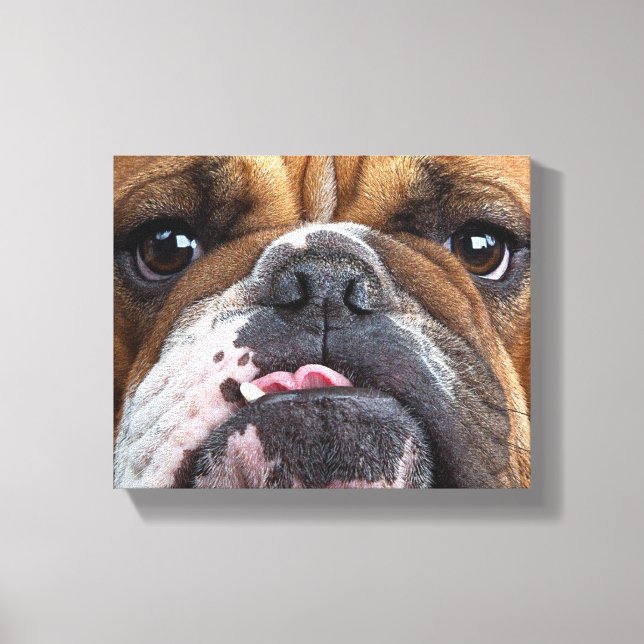 Lienzo Almohada de inglés bulldog (Anverso)