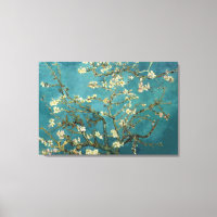 Almond Blossom Canvas