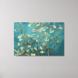 Lienzo Almond Blossom Canvas