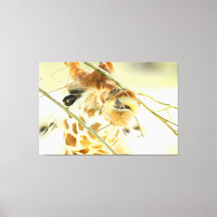 Lienzo ALTA ESPERANZA 40x60