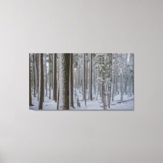 Lienzo Alto en pie #1