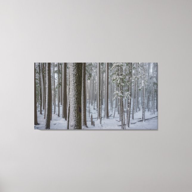 Lienzo Alto en pie #1 (Anverso)