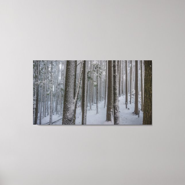 Lienzo Alto en pie #2 (Anverso)