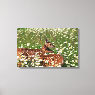 Lienzo Alucinaciones de ciervo de cola blanca