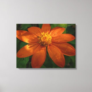Lienzo Amanecer en Floral Naranja de Girasol Mexicano