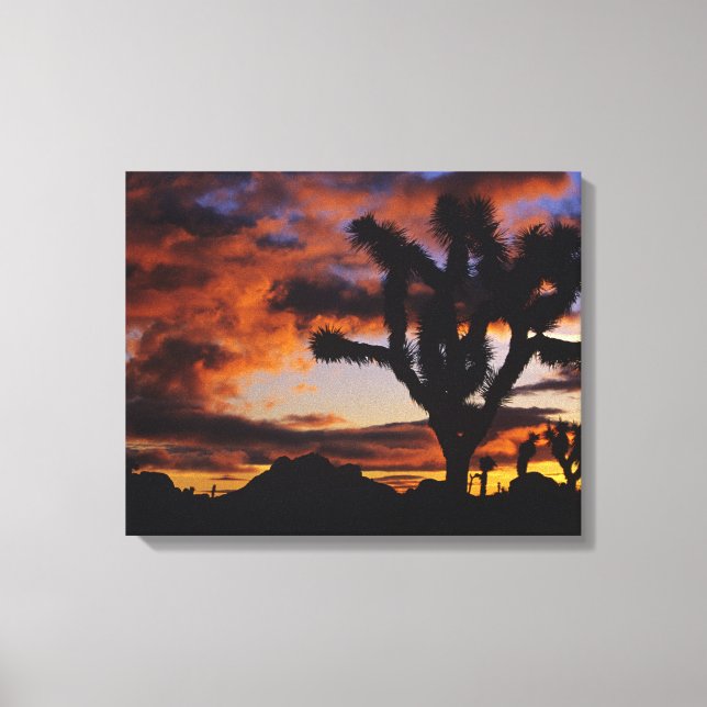 Lienzo Amanecer Espectacular en Joshua Tree National (Anverso)