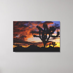 Lienzo Amanecer Espectacular en Joshua Tree National