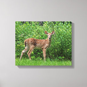 Lienzo Amanecer frente a una cerca