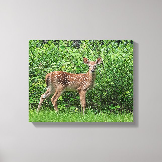 Lienzo Amanecer frente a una cerca (Anverso)