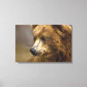 Lienzo Amantes del oso marrón